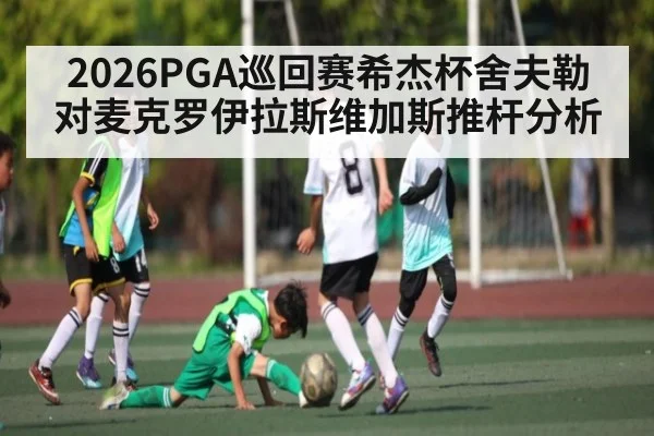 2026PGA巡回赛希杰杯舍夫勒对麦克罗伊拉斯维加斯推杆分析